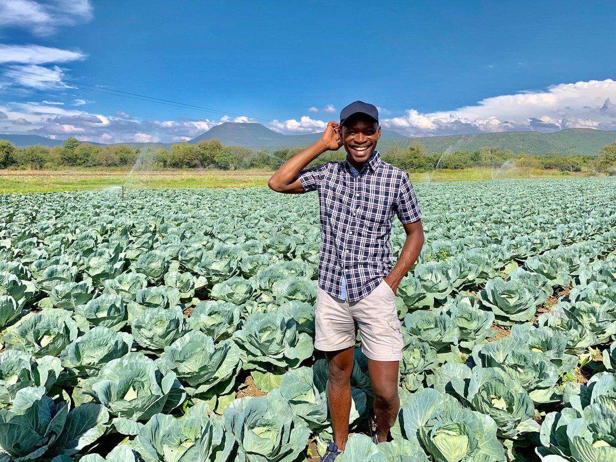 ThembaRumbu's tweet photo. Meet Andike Siphesihle Ngcobo 25

A farmer at Tusokuhle farming in Pietermaritzburg. On this 1200 hectare Black owned farm there are about 108 workers, he feeds 108 families

How this is Black Excellence 👑✊🏿 https://t.co/QTm2RYrz7S