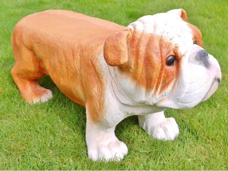 Daisy Bumbles Flowers Tipton (DaisyBumbles_) Twitter