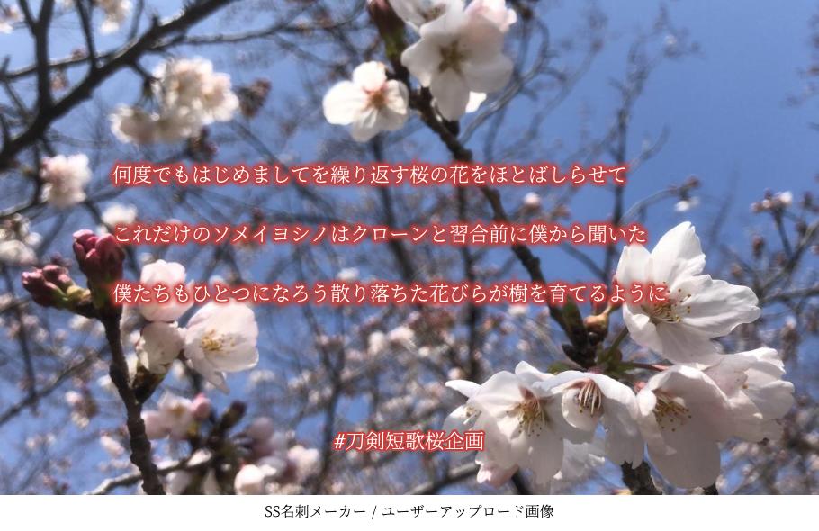 高村七子 V Twitter 習合 刀剣短歌 刀剣短歌桜企画 何度でもはじめましてを繰り返す桜の花をほとばしらせて これだけのソメイヨシノはクローンと習合前に僕から聞いた 僕たちもひとつになろう散り落ちた花びらが樹を育てるように