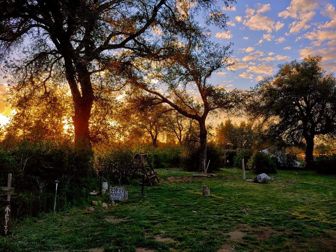 Fort_Cross's tweet photo. #Sunset on Lilac Flats the day before #FortCross will begin its four #weekend long #LilacFestival near #JulianCalifornia
https://t.co/Iya8DZ4eKX
#FortCrossOldTimeyAdventures #family #familyfun #kids #visitjulian #visitsandiego #discoverJulian #southerncalifornia #fun #spring https://t.co/lbqWvtTYqs