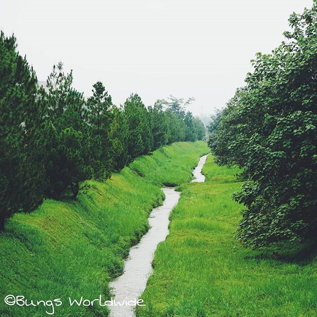 Jalan menuju roma

#BungsWorldwide bit.ly/2IJlbED