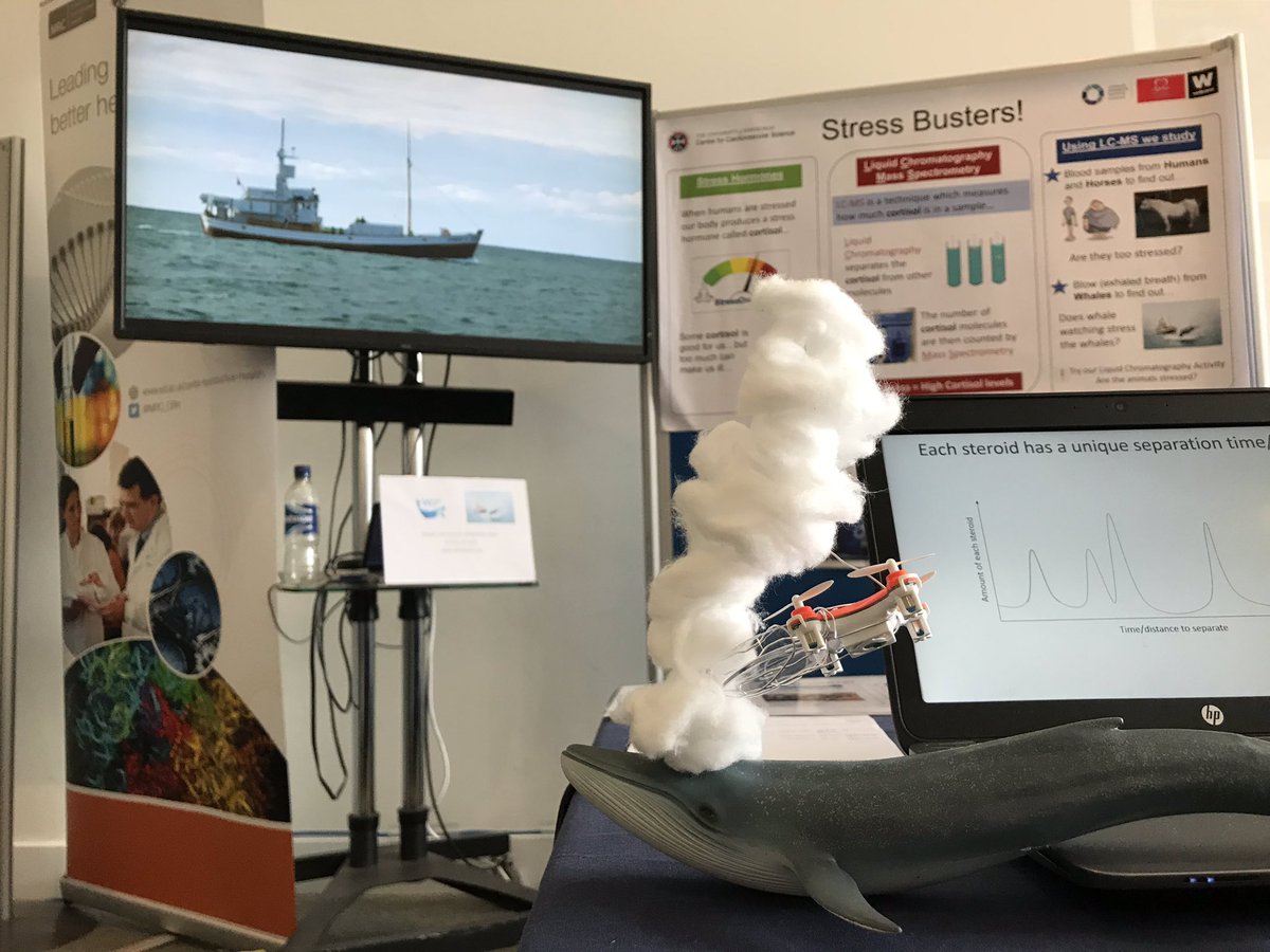 WhaleWiseLive's tweet image. Day 2 at @EdSciFest @NtlMuseumsScot. Ready to talk stress, mass spec, chromatography and blow sampling with @CortisolNetwork @EdMassSpecCore  @EdinUniCVS 
#oceanharmony #whaleresearch