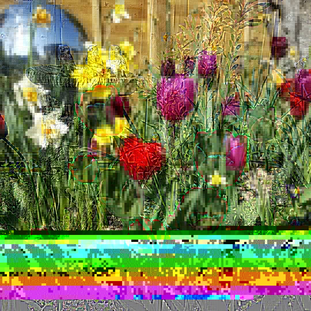 BeachHappy2017's tweet photo. #easter #springtime #flowers time to start thinking about #summer #blooms #sented #flowers & #shrubs to attract the #wildlife #pollenators #calming #garden #sunshine #icecream #BBQ #welbeing #bexhill #webdesigner #becreative in all forms of #life #bexhill #gardening #songbirds https://t.co/rzuzCVSz5Y