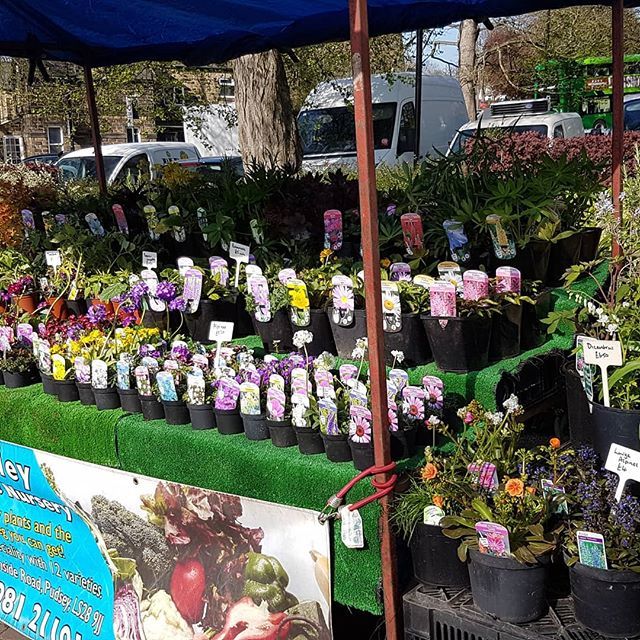 RT @bwhiteleyfarm: Our stall is looking pretty @oakwoodfmarket today come on over we are here til 12.30pm #gardening #sunnydays #whiteleysfarm #lifeinleeds bit.ly/2Vc6e4n