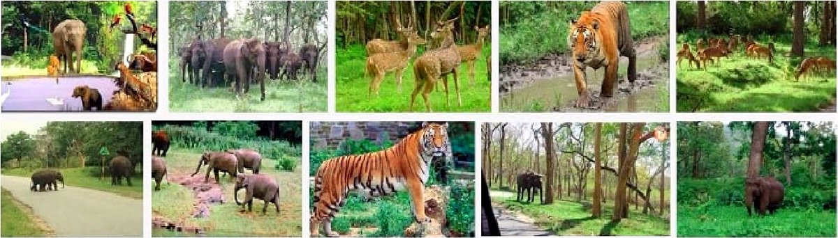rahul_pandey95's tweet photo. #ChandraPrabhaWildlifeSanctuary | It is located in #Chandauli district of #UP. It has dense forests, and scenic waterfalls like #Rajdari and #Devdari and was established in May 1957. It is a home of around 150 species of birds.
#UPNahiDekhaTohIndiaNahiDekha https://t.co/uNsrt0GXiy