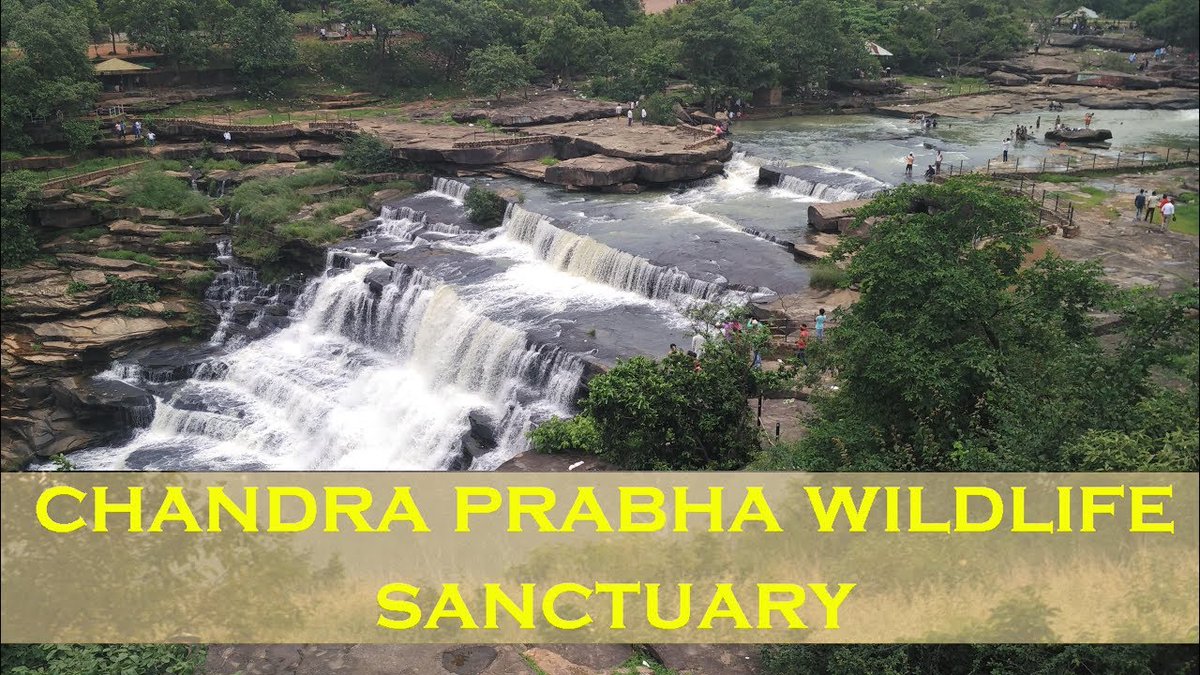 rahul_pandey95's tweet photo. #ChandraPrabhaWildlifeSanctuary | It is located in #Chandauli district of #UP. It has dense forests, and scenic waterfalls like #Rajdari and #Devdari and was established in May 1957. It is a home of around 150 species of birds.
#UPNahiDekhaTohIndiaNahiDekha https://t.co/uNsrt0GXiy