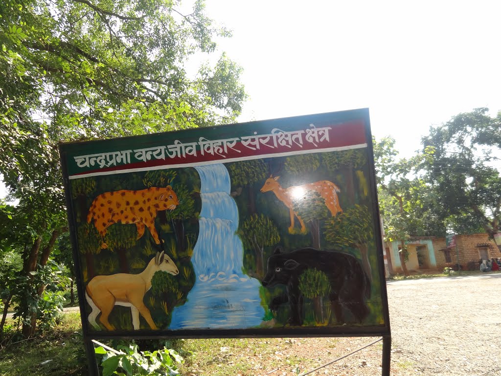 rahul_pandey95's tweet photo. #ChandraPrabhaWildlifeSanctuary | It is located in #Chandauli district of #UP. It has dense forests, and scenic waterfalls like #Rajdari and #Devdari and was established in May 1957. It is a home of around 150 species of birds.
#UPNahiDekhaTohIndiaNahiDekha https://t.co/uNsrt0GXiy