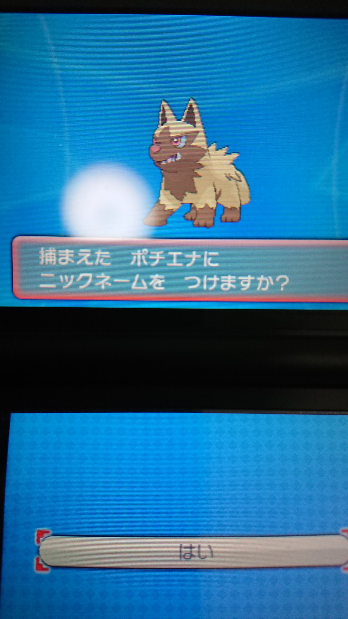刹那 泡沫夢幻 色違い ポチエナ モチーフは ハイエナ ポケットモンスターアルファサファイア 色違いポチエナ マンウィズアミッション 増田順一 ゲームフリーク ひかるおまもり T Co 0lxxecpody Twitter