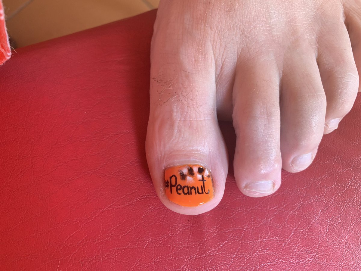 bbgrpracing's tweet image. #jaguarsimolahillclimb #GTR #Peanut