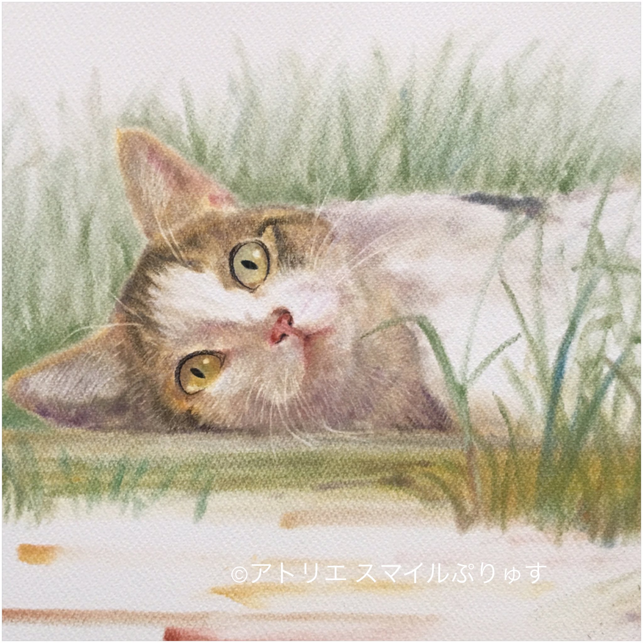 森口慶一 على X: 