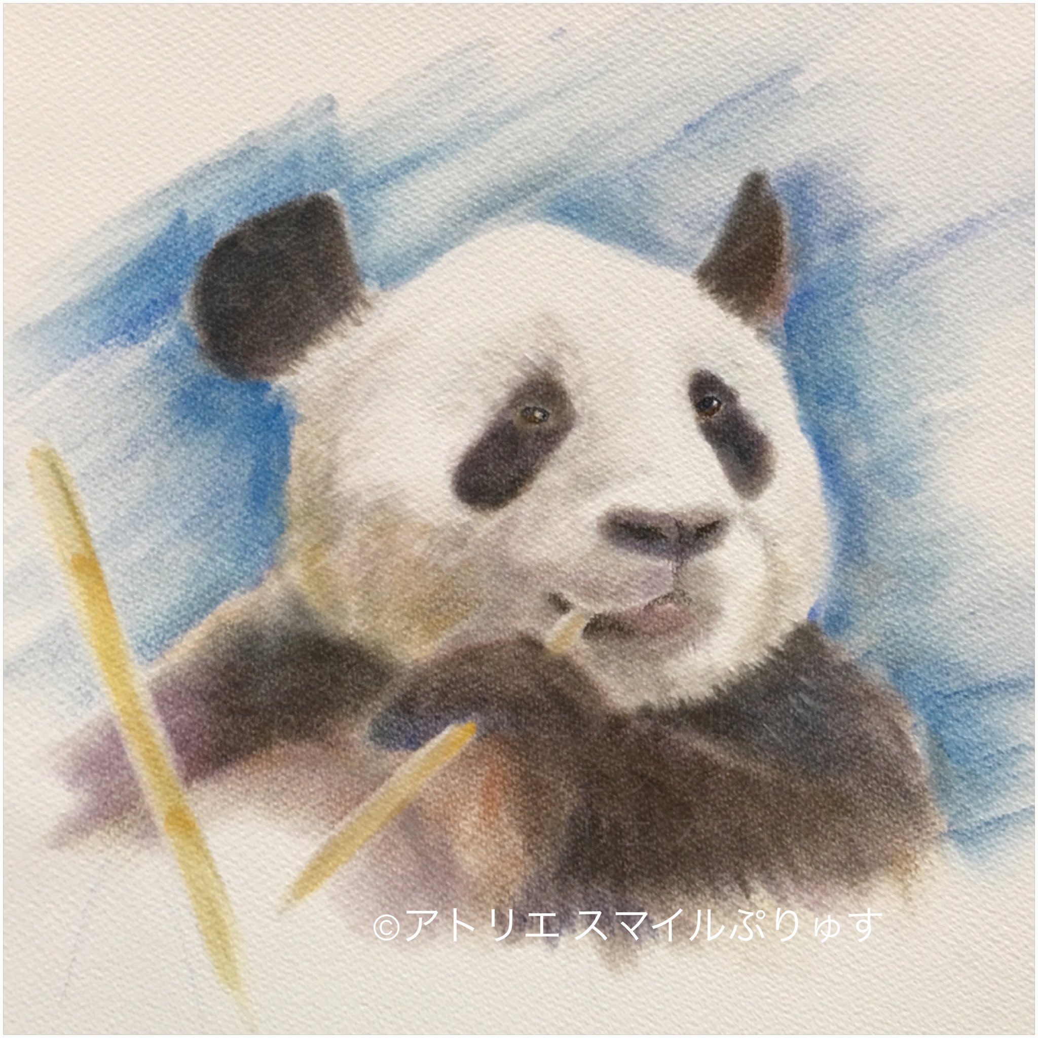 森口慶一 on X: 