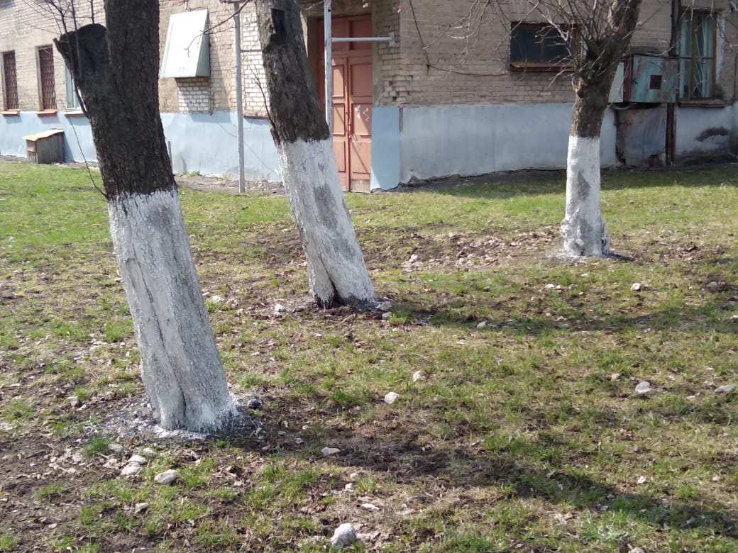 NovTexBio's tweet image. 20.04.2019 Коллектив ГПОУ ТО "НТПБ" принял участие в областном субботнике #субботник71 @min_obr_to  @AASheveleva @Tularegion71