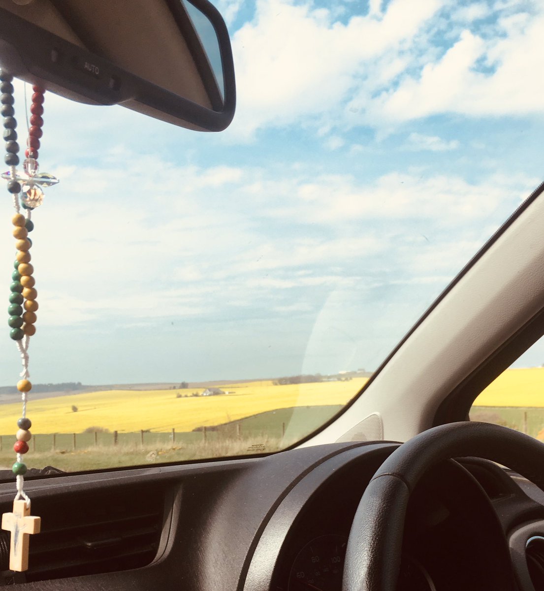 #fieldsofgold #countryliving
