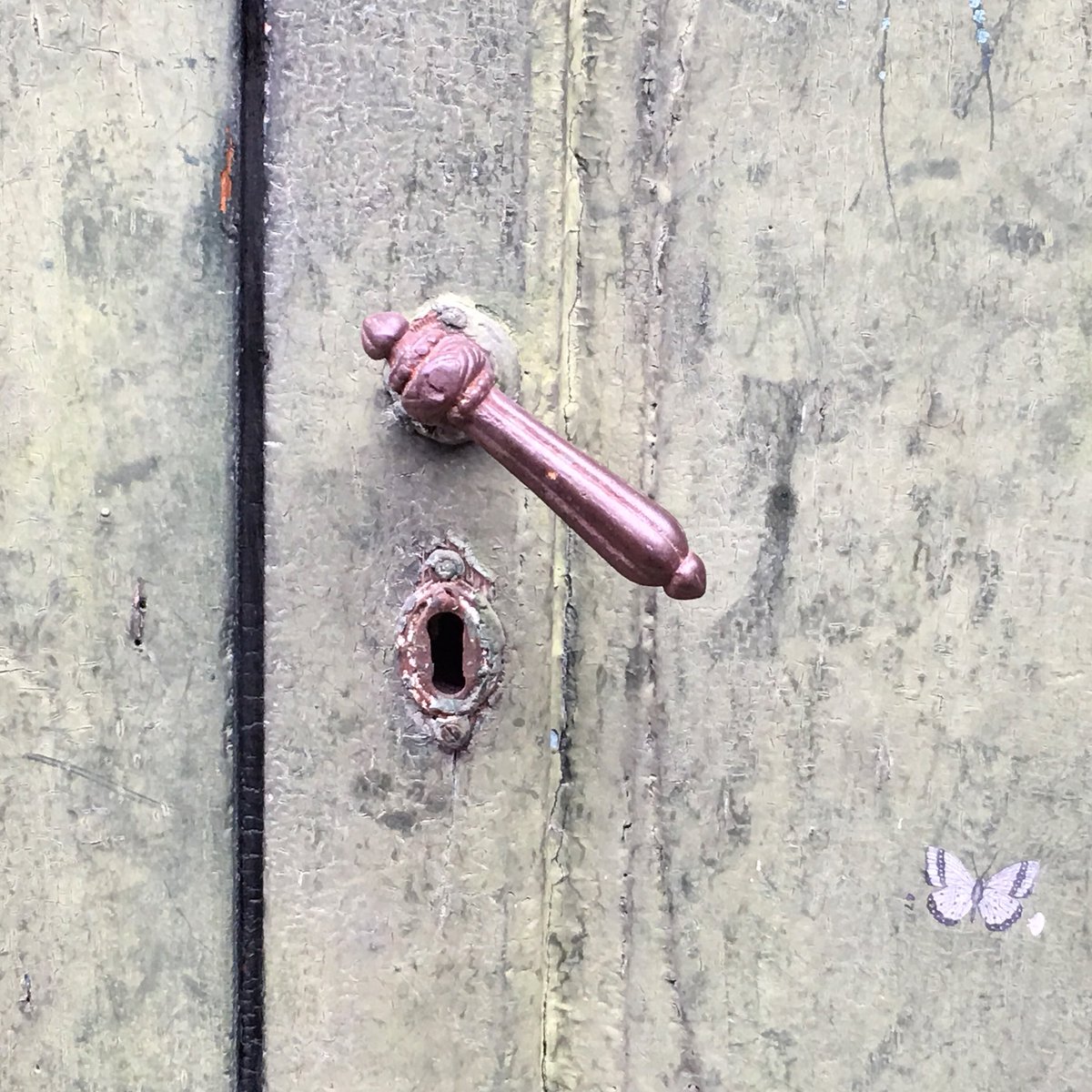 Kotor. Seltsamer Ort. Aber es gibt einen Schmetterling an der Tür.