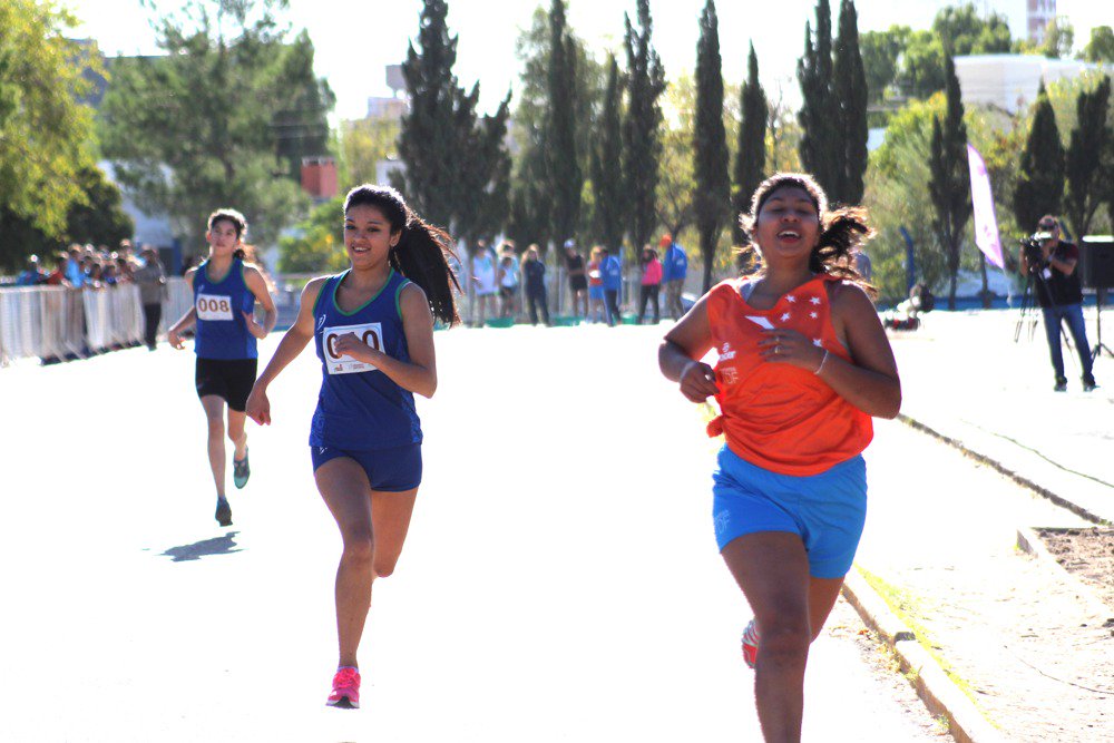 Deportes_tdf's tweet photo. #PARAEPADE2019: Atletismo 🏃‍🏃
#DeportesTDF #PolíticasDeportivas #GestiónBertone
@RosanaBertone @DangeloJuan @ramirobravo_ https://t.co/tKJFdu9YCw