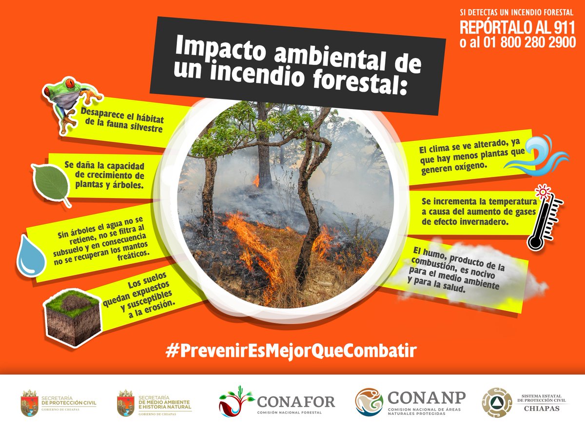 Secretaría de Protección Civil de Chiapas tweet media