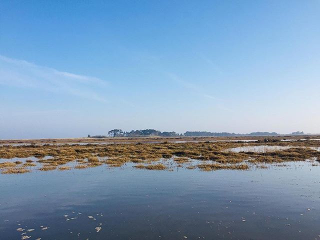 Possibly one of the best places in the world....
.
.
@visitnorthnorfolk @eastenglanduk @wnnmp @naturalengland @wellsnextthesealife .
.
#saltmarsh #northnorfolk #wild #nature #wellbeing #unplug #rechargeonnature #staynextthesea #traditionalboats #sailing … bit.ly/2Xy4dNJ