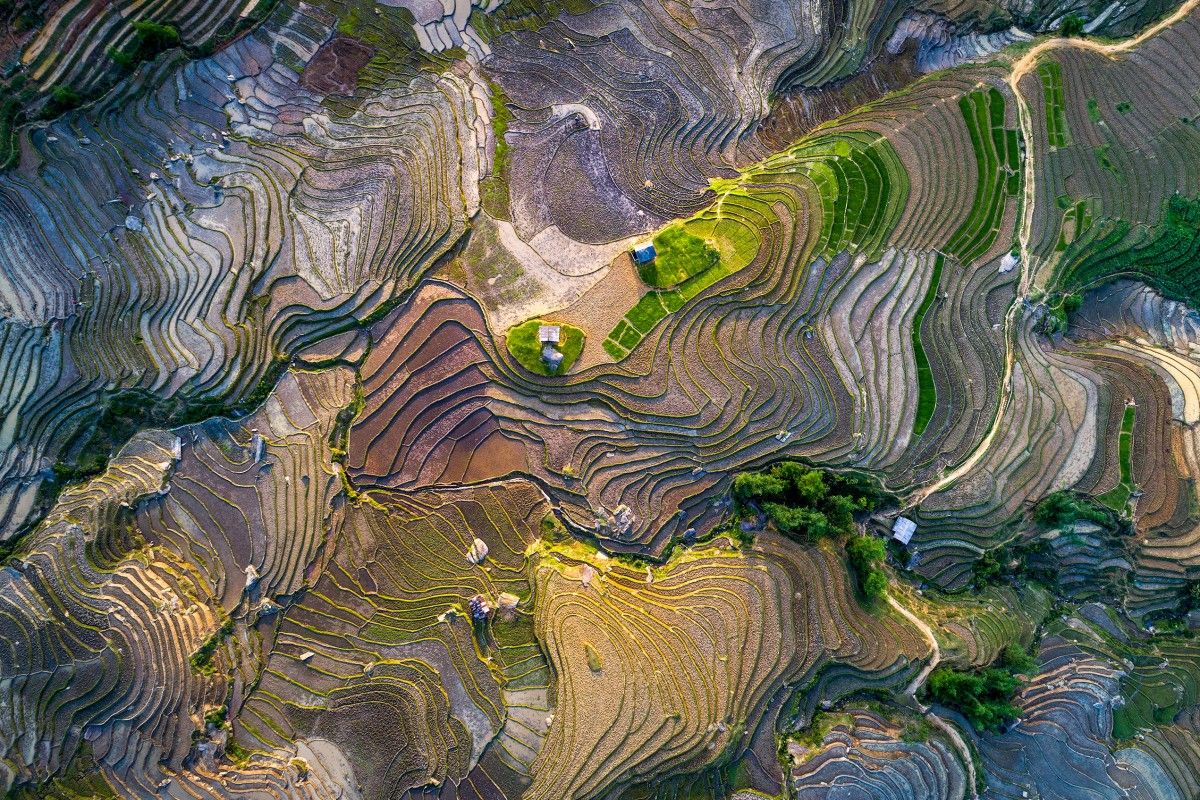 El Vuelo del Drone (@elvuelodeldrone) on Twitter photo Rice terrace in waterfall season by Trung Pham <a href="/dronestagram/">dronestagram</a>. #Aerialphotography by #drone Rice terrace in waterfall season by Trung Pham <a href="/dronestagram/">dronestagram</a>. #Aerialphotography by #drone