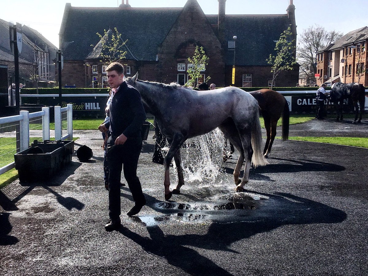 LiamRudden's tweet photo. Nothing better after a great race @MusselburghRace, apparently.
#MusselburghRaces #EasterRaces https://t.co/wwuDJ3ITDr