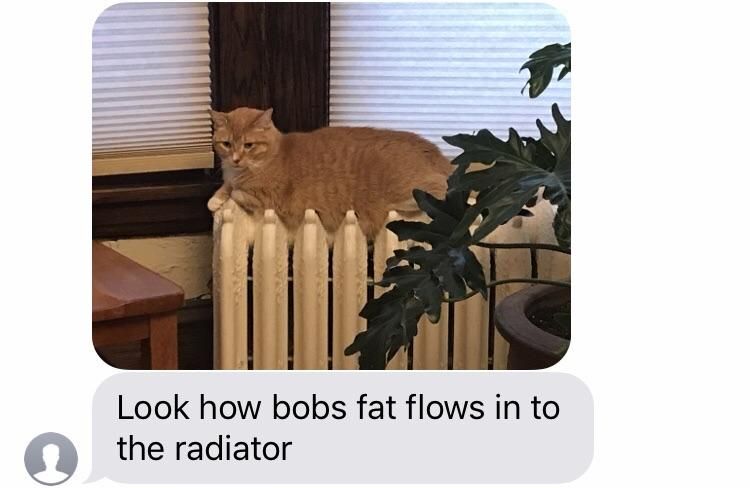 CatsOnCatnip's tweet image. “My uncle sends me updates on his cats&quot; - u/redyns28