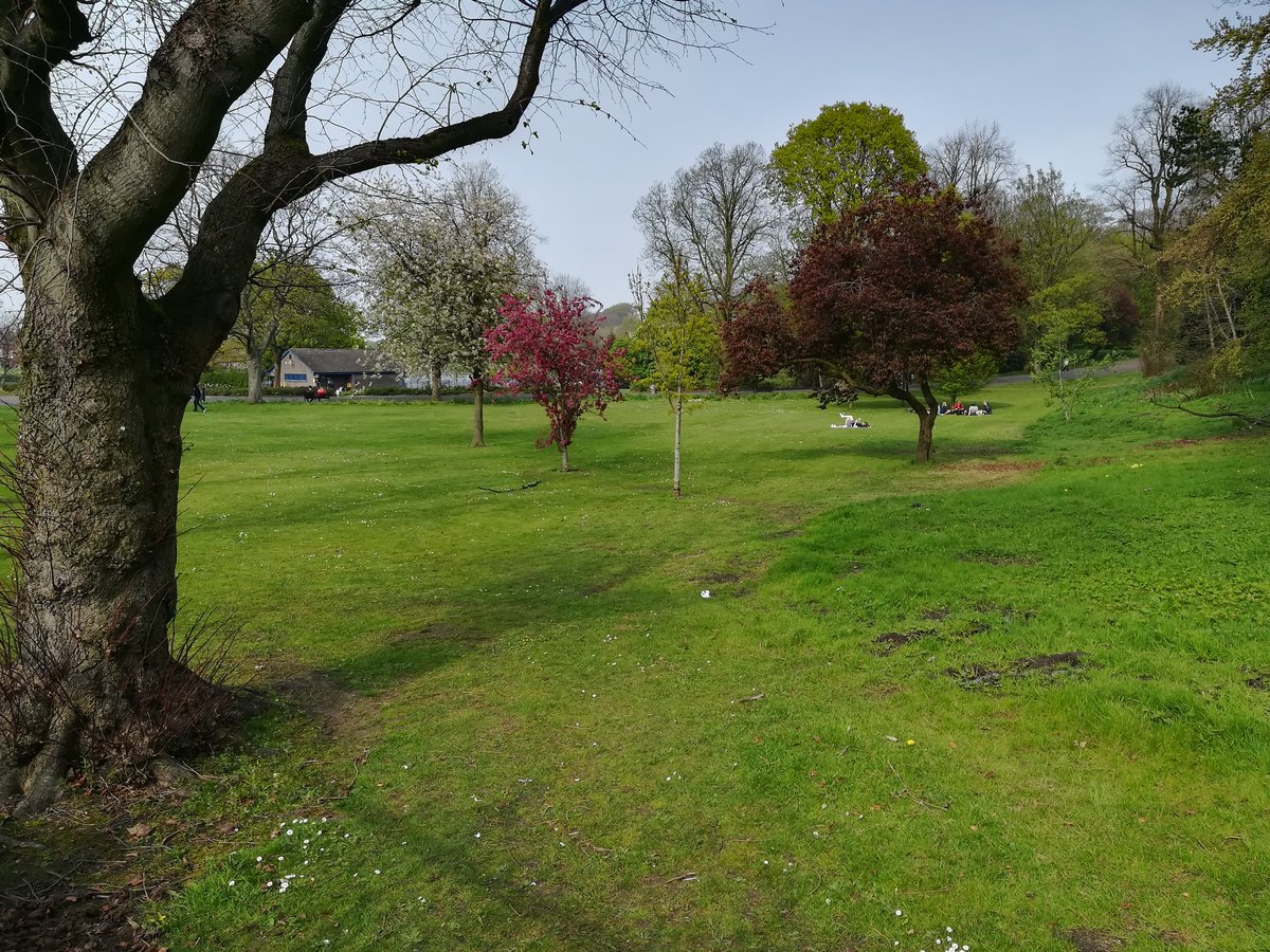 Ormeau Rd vista 3
Inside the park