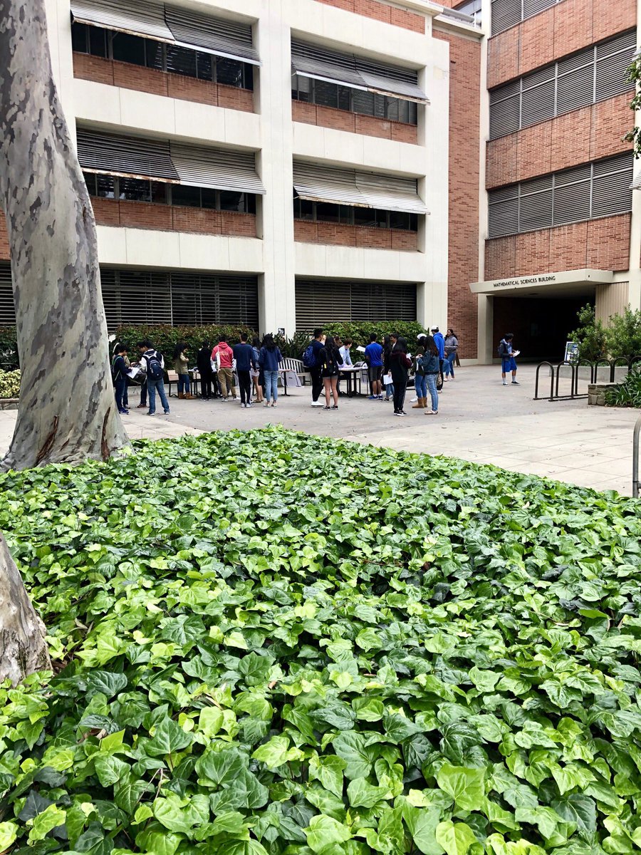 Classes at #UCLA today.
*
#mymomneverbroughtmetothingslikethis #collegeprep #splashatucla #college #studentlife #highereducation #education #university