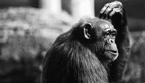 newsgel's tweet photo. “The whole secret lies in confusing the enemy, so that he cannot fathom our real intent.” ― Sun Tzu  #tcot#tpot#AP https://t.co/RtlfL2SfBV