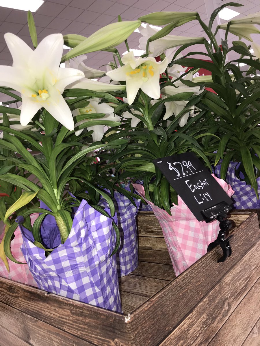 KaylaTarget's tweet image. HOP on over to the Shawnee Super Target &amp;amp; fulfill all of your Easter needs! 🎯🐰@LauraBoulware @palayeva