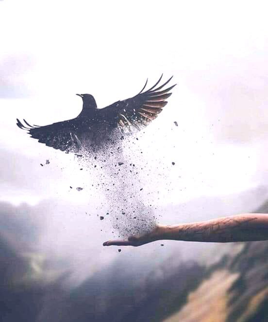 LcyFd's tweet image. سنرحل يومآ دون وداااااع 
ف يااارب نسالك حسن الخاتمه ...
،
،
#ملكني_سكوتي