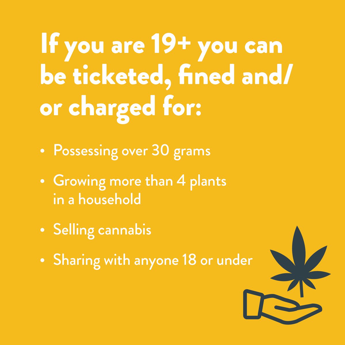REXforYouth's tweet photo. If you are 18 and under or 19+, legalization of cannabis means different things. 

#420 #weedfacts #cannabis #legalization #youth #youthrex https://t.co/CnvgEzrhyw