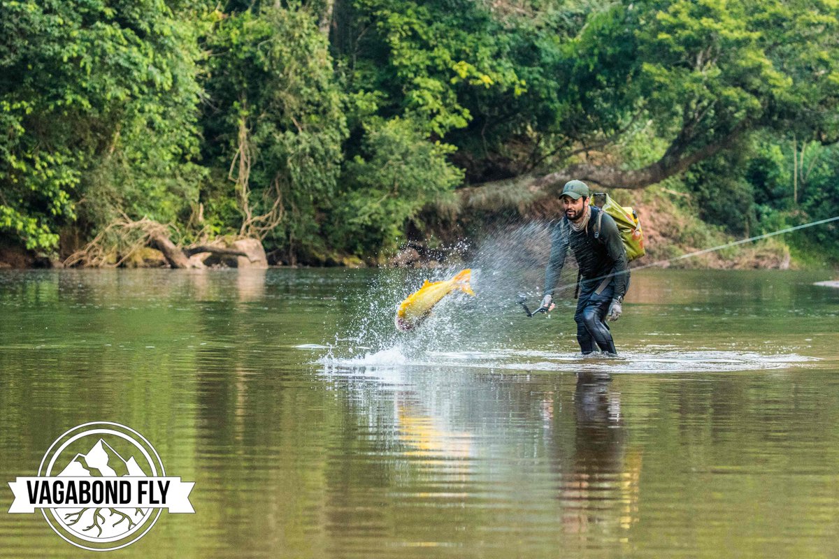 VagabondFly's tweet photo. What’s around the next corner .. you only know if you go. And most times those places touch your soul. #itonlycountsonfly #purposefullylost Angling Frontiers https://t.co/FEZ5r1CKEP