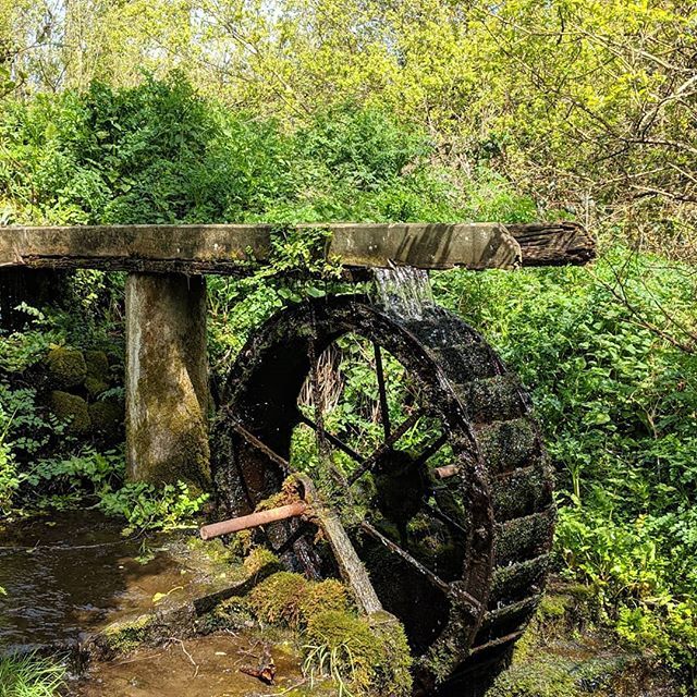 headley_morris's tweet photo. #nature #naturephotography #amaturephotographer #shotwithgooglepixel2 #waterwheel #zen #cornwall https://t.co/cArgvcXR2L