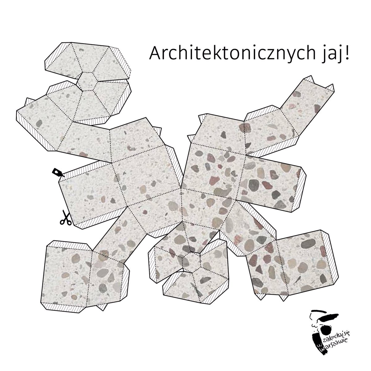 🐣🐥🐣🐥🐣🐥🐣🐥🐣🐥