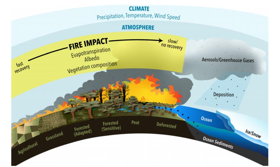 A recent review of Fire-Carbon relationships highlighting the need for more research on human-fire interactions.  link.springer.com/content/pdf/10…