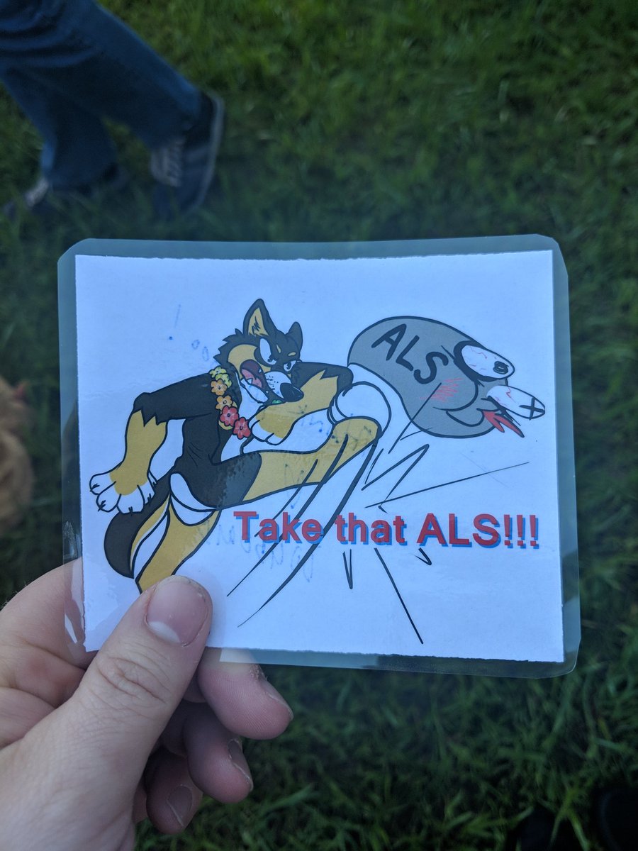 Triangle_Furs's tweet photo. Walking today in honor of @dogbomb1 He was kind enough to sign our badges before he passed. https://t.co/AJUyxP6HMz