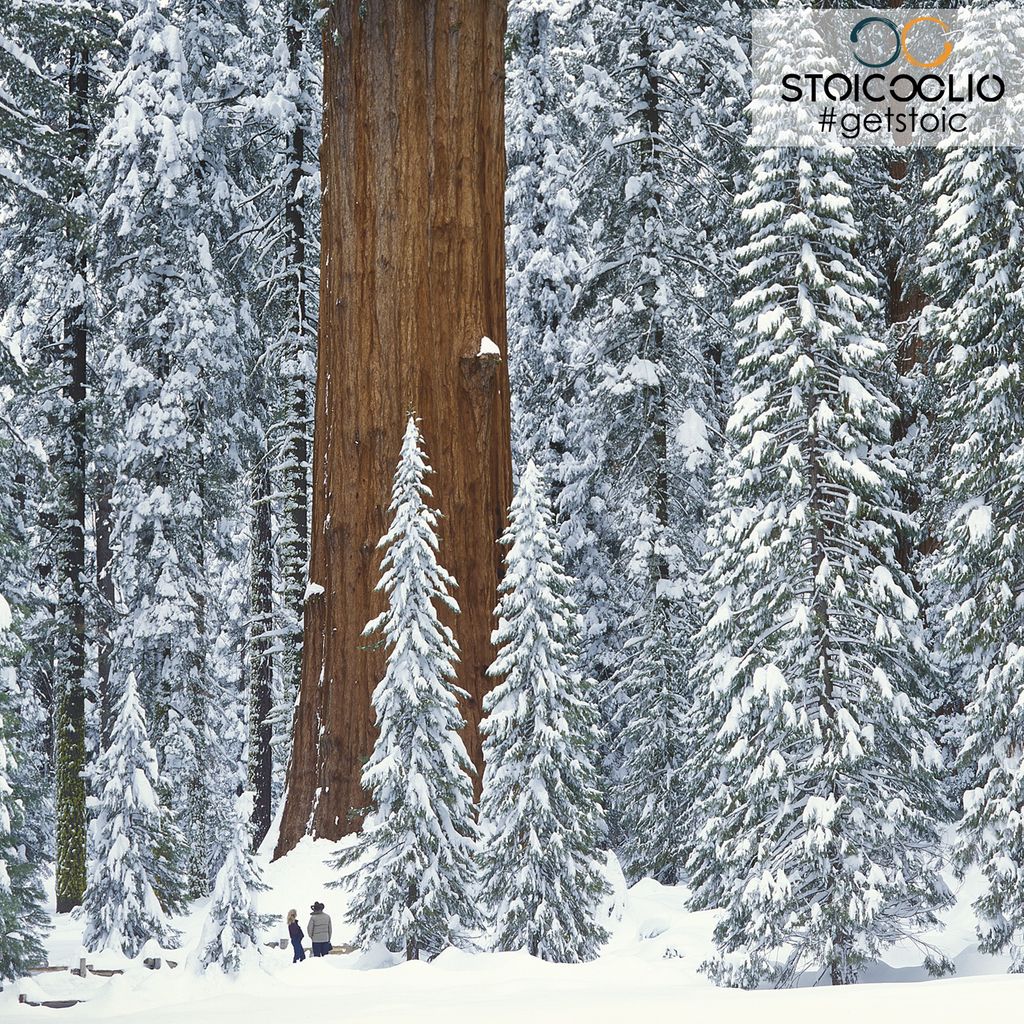 stoicoolio's tweet photo. Do you feel connected to nature? #GetStoic 🧘🏽‍♀️♾ 🐉 △
#mindfulness #mindfulnessmeditation #mindfulnessmoment #meditation #MeditationPractice #stoicism #buddhism #wellbeing #lifehacks #lifestylechange #motivation #liveinthepresent #gratitude #performance https://t.co/fM1NJnRjjo