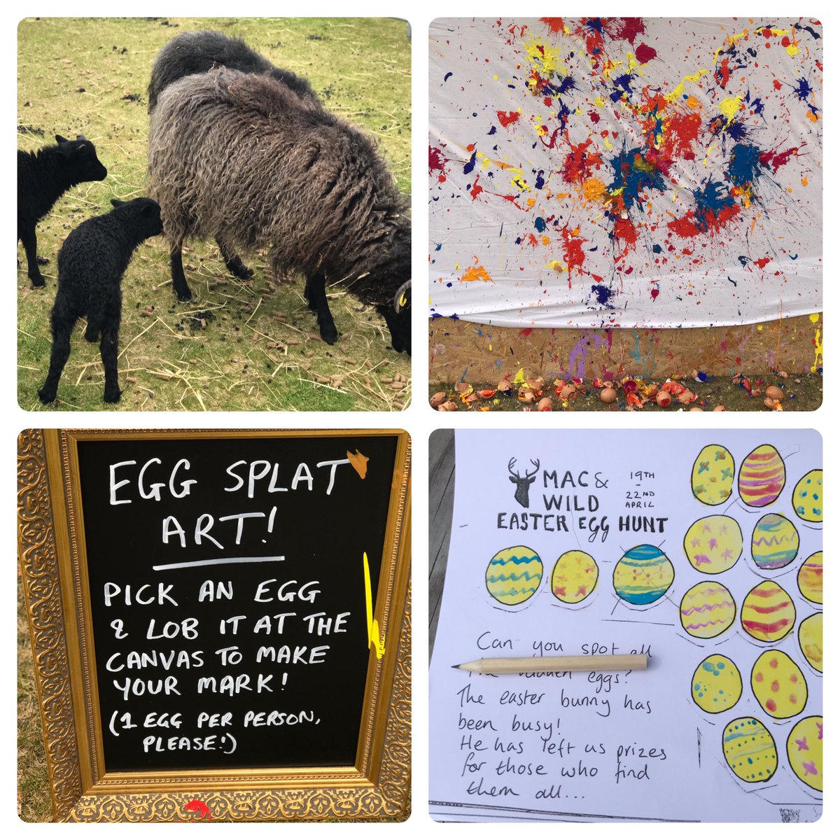 irenewarnermack's tweet image. Grade-A #Easter action ⁦@MacandWild⁩ #FallsOfShin