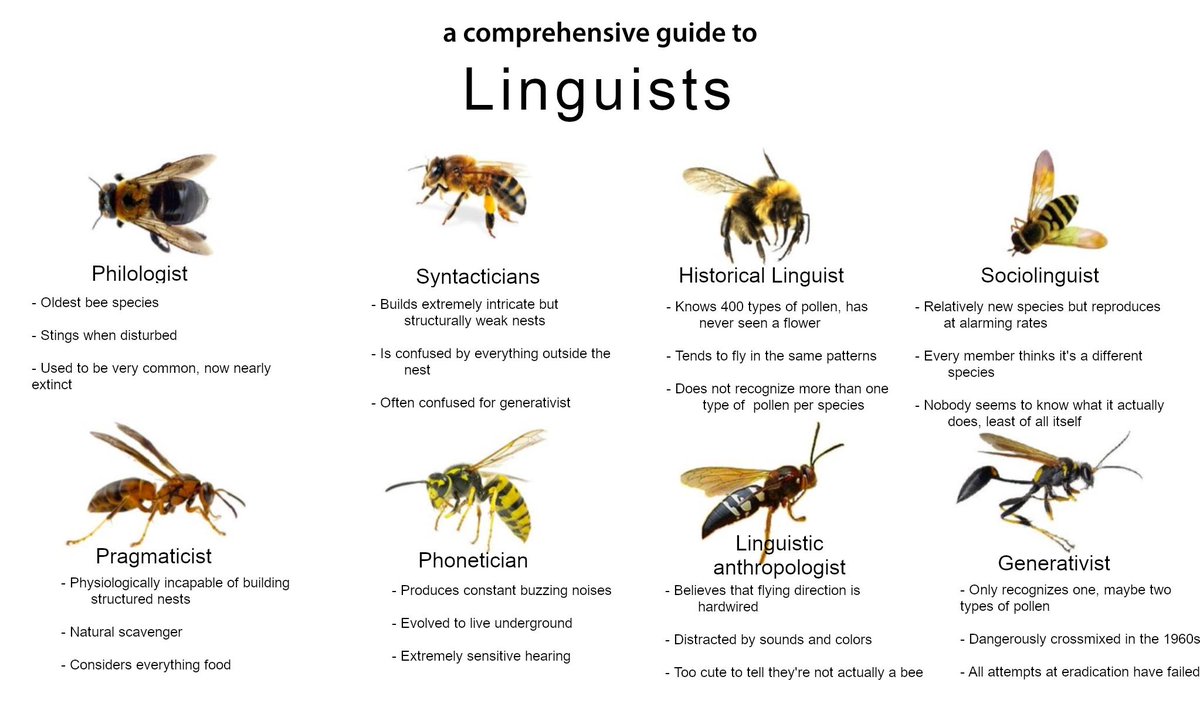 koutchoukalimar's tweet photo. Based on the original by @kjhealy I present "A field guide to Linguists" https://t.co/KoJN3rZWhd