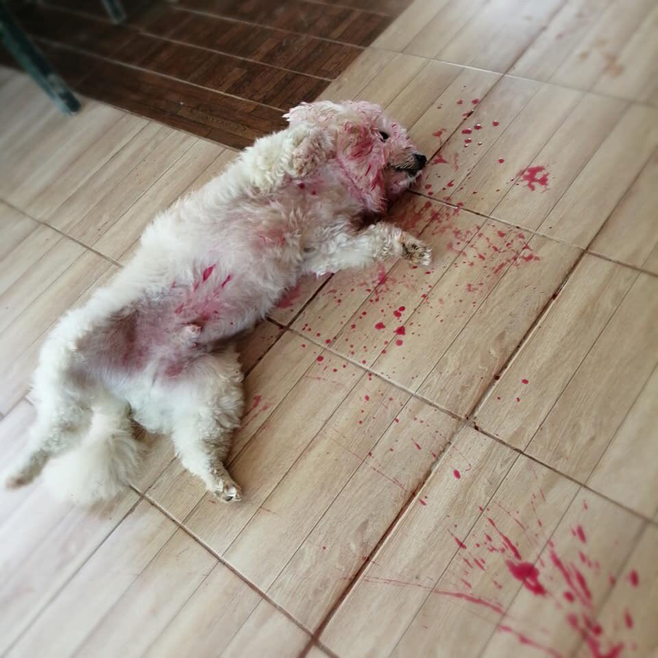 พี่รีน tweet media