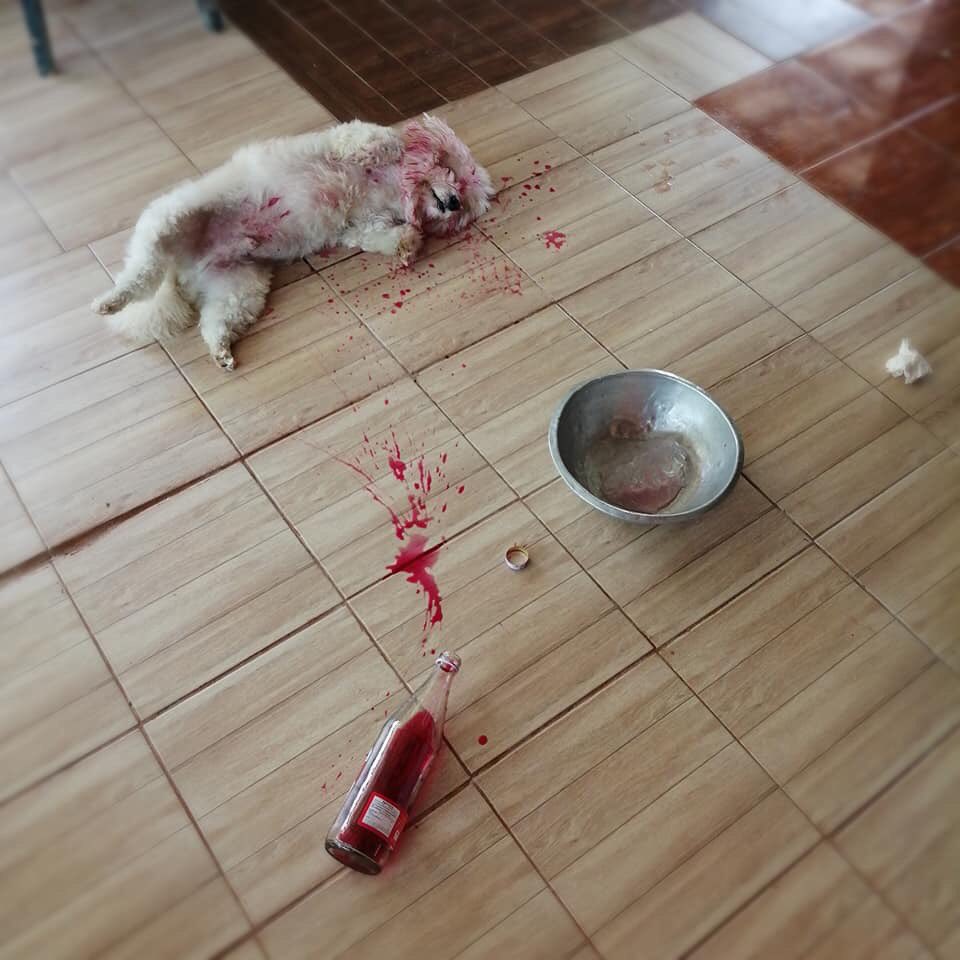พี่รีน tweet media