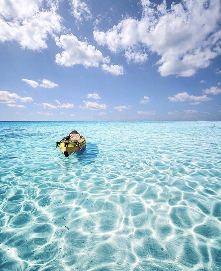 Segui Art Of Sardinia su Instagram.👇
instagram.com/artofsardinia