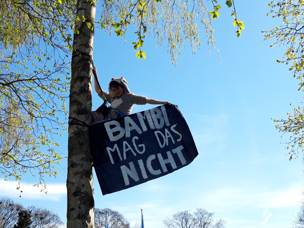 fein_frisch's tweet photo. Bambi ist extra vorbeigekommen um der #BandDerVollidioten zu sagen was es von denen hält #Flensburg #nika #khfn #kbfn https://t.co/4Y3RLG2sjV