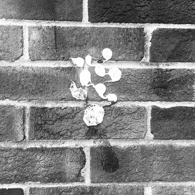 #benriver #music #musician #songwriter #singersongwriter #singer #poet #musicwriter #musicartist #artist #musiccomposer #composer #folk #folkmusic #folksinger #folksong #folksongs #folkartist #indiemusic #folkrock #indiefolk #folkpop #altfolk #altpop #al… bit.ly/2GwQelr