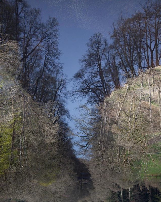 nickhdesign's tweet image. This way up (🔄?) .
Llyn Vyrnwy, North Wales 🏴󠁧󠁢󠁷󠁬󠁳󠁿 .
.
.
.
.
.
.
#lakevrynwy #riverreflection #upsidedown #rotatedview #wales #river #reflection #nature #lake #reflections #visitwales #photography #landscapephotography #naturelovers #naturephotography #… bit.ly/2Iwc5vG