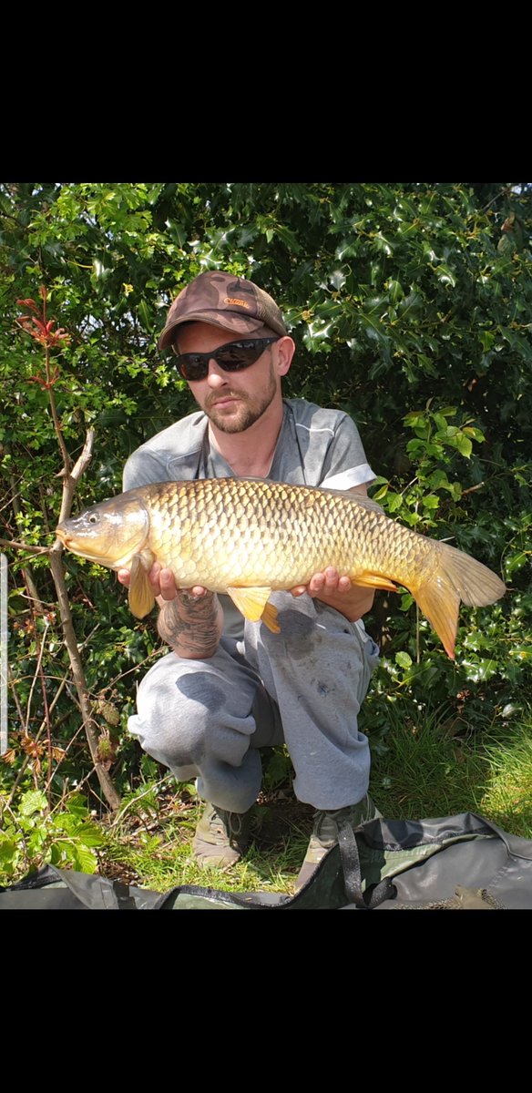 carpydan's tweet photo. Landed between 12 and 16 fish in less than 2 hours. All off the top too.  Seriously lost count. #carpy #carp #karpfe #quicksessions https://t.co/SWqtexrEhX
