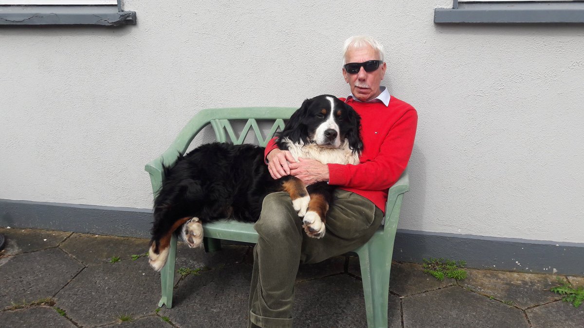lvesey83's tweet photo. It doesn'tmatter how much space you have - they always want your chair! #berneselapdog #CantGetCloseEnough #bernesemountaindog #BankHolidayWeekend #EasterWeekend https://t.co/3ZVhj9YF79