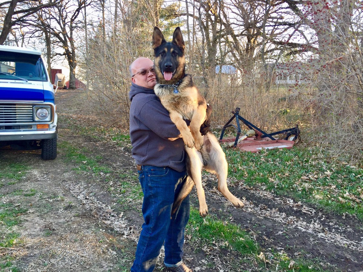 DrPeteMarcelo's tweet photo. Aside from my kids, #Harley is my man... chillin down on the #farm #peys #dogs #germansheppard #bushhog #chevy #g20 #www.drpetemarcelo.com https://t.co/zB8v8t1mMh