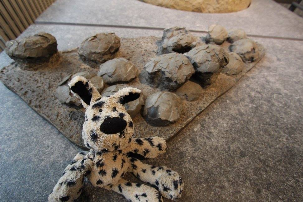 jellycat dalmatian