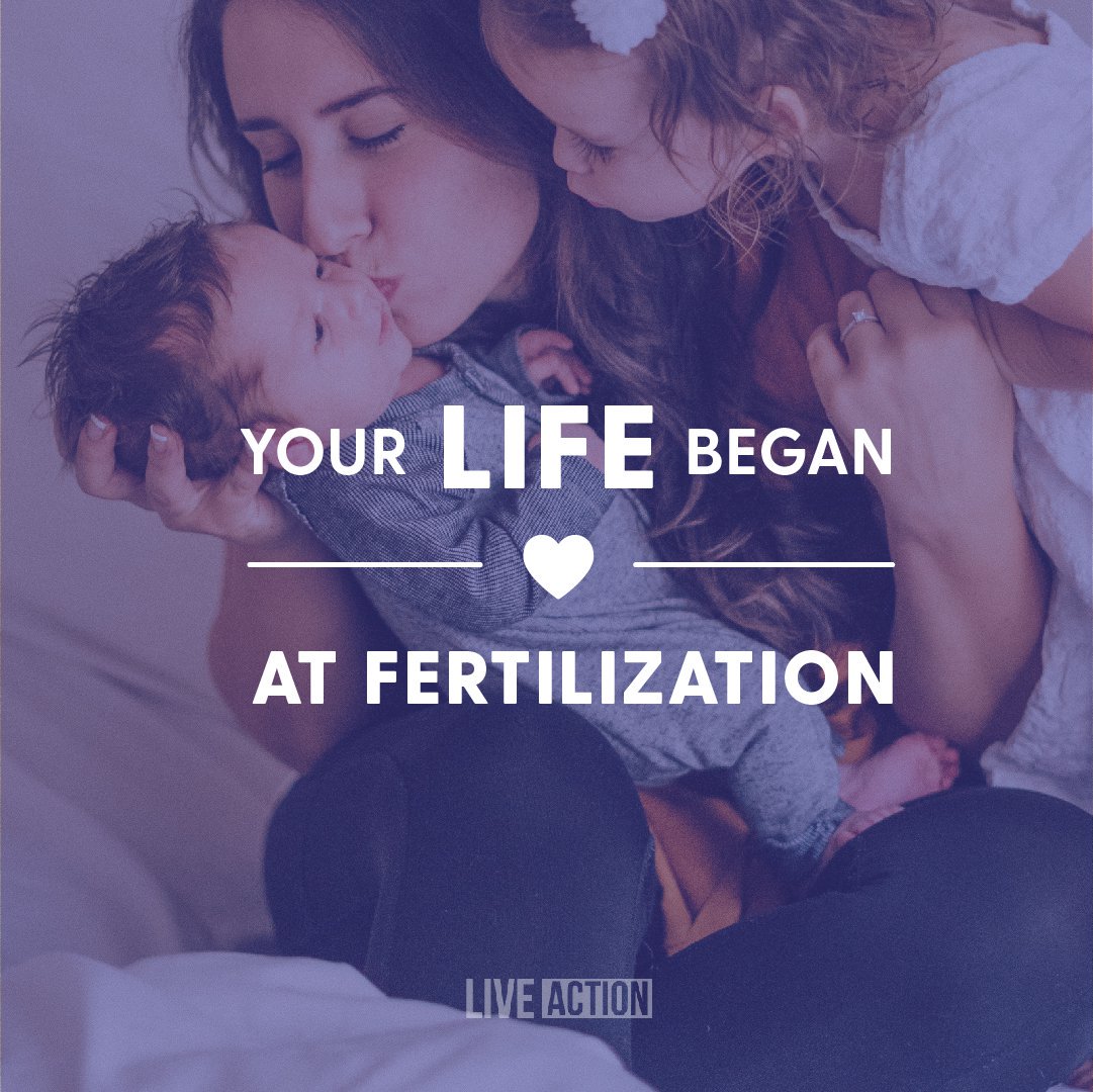 LiveAction's tweet photo. At the moment of fertilization, all of your DNA was present and your sex, eye color, and more were determined! https://t.co/tFiz9YeOY1