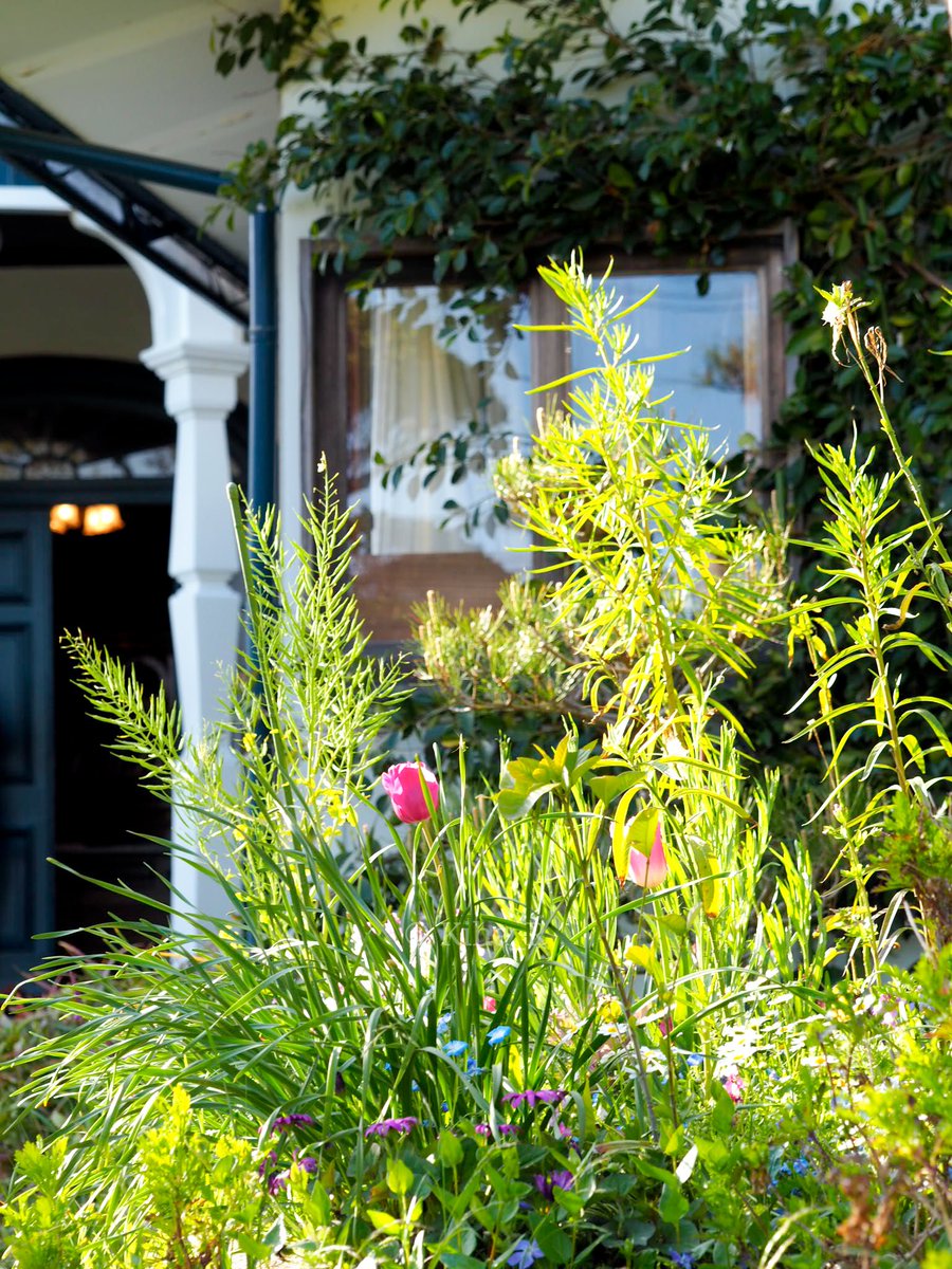 FleurpicKihar's tweet image. 花盛りのグッゲンハイム＊
カーテン越しに光が少しずつ暮れてゆくのや、そとからひびく電車の音が、より素敵な空間にしていたように思います。心が洗われる素晴らしい時間でした。忘れることなんてできません！w

#LP9 #新居昭乃